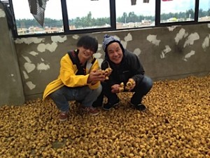 IMG_0947