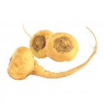 Maca Root