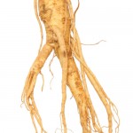 Ginseng